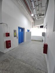Ct Foodnex (D25), Factory #497908211